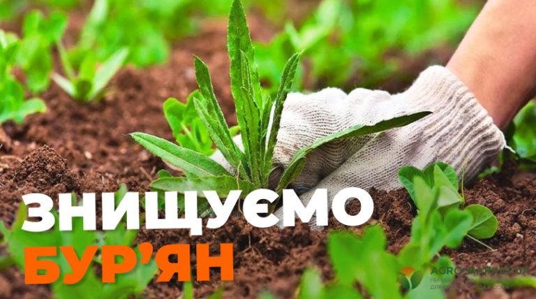 Чим обробити землю від бур’янів: Повний посібник