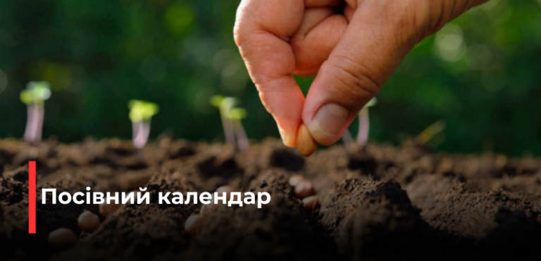 Посівний календар на травень: що садити
