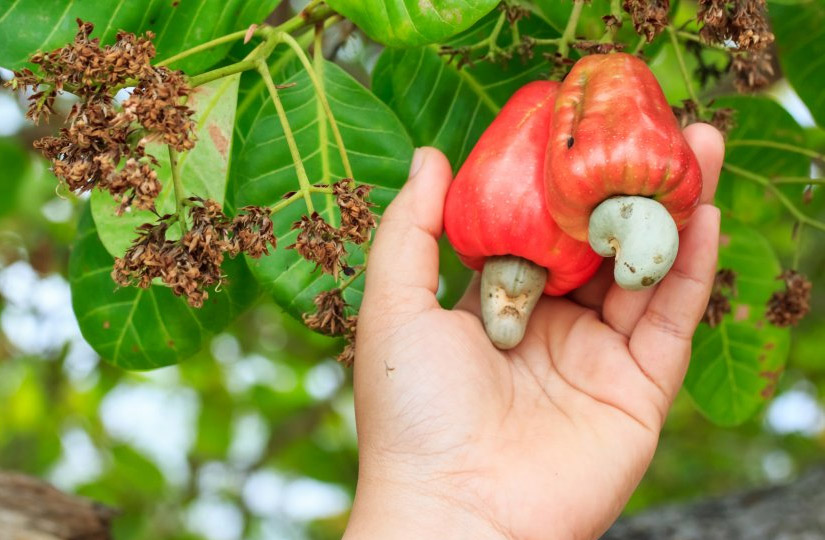 Атақтылардың жалаңаш порно фотолары жалған болып табылады.