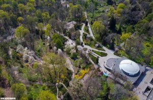 Ботанічний сад Фоміна: Історія, Рослини та Таємниці Зеленої Оази Києва