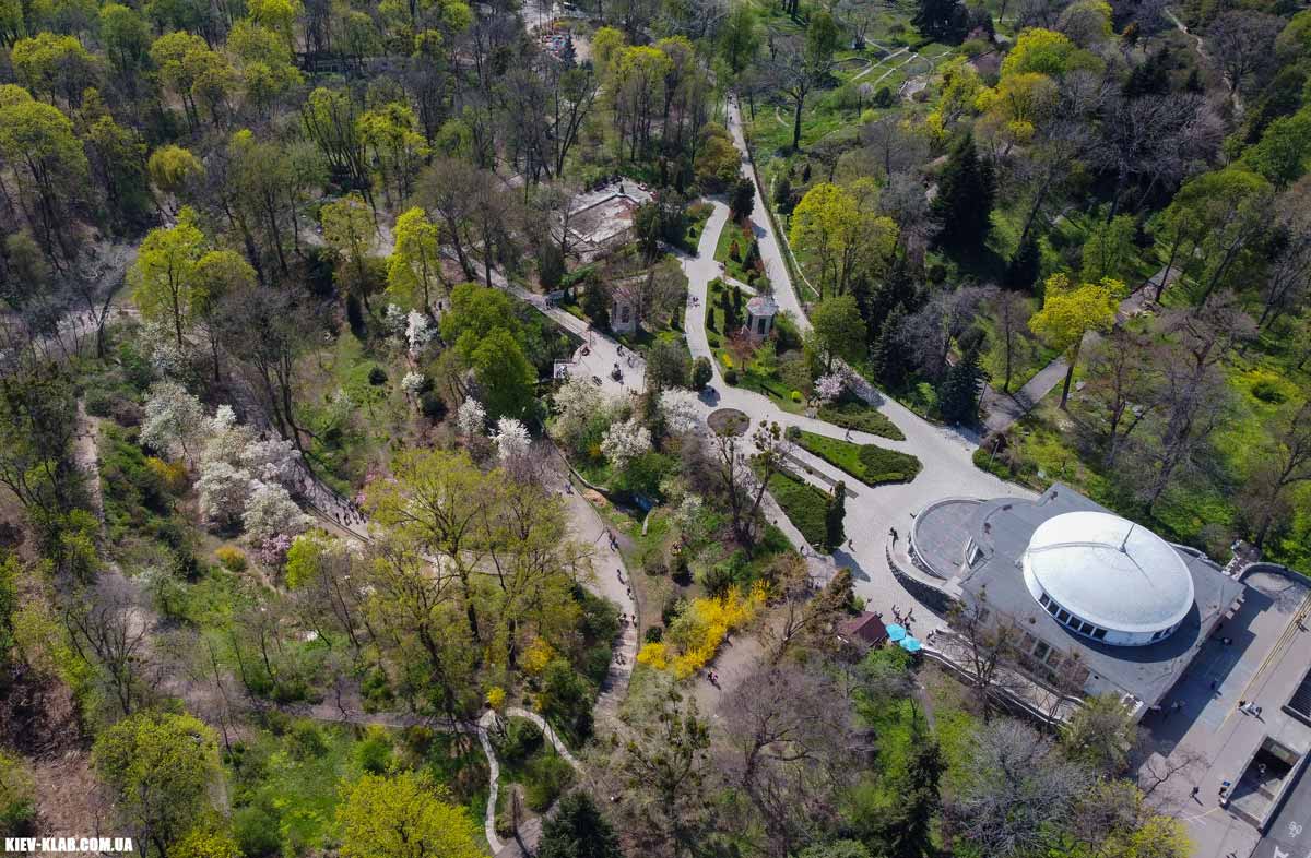 Ботанічний сад Фоміна: Історія, Рослини та Таємниці Зеленої Оази Києва