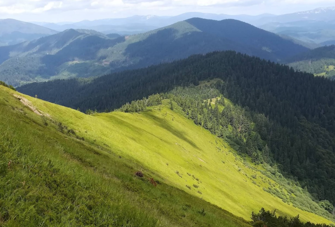 Хребет Пішконя в Ґорґанах: Опис, Маршрути та Корисна Інформація