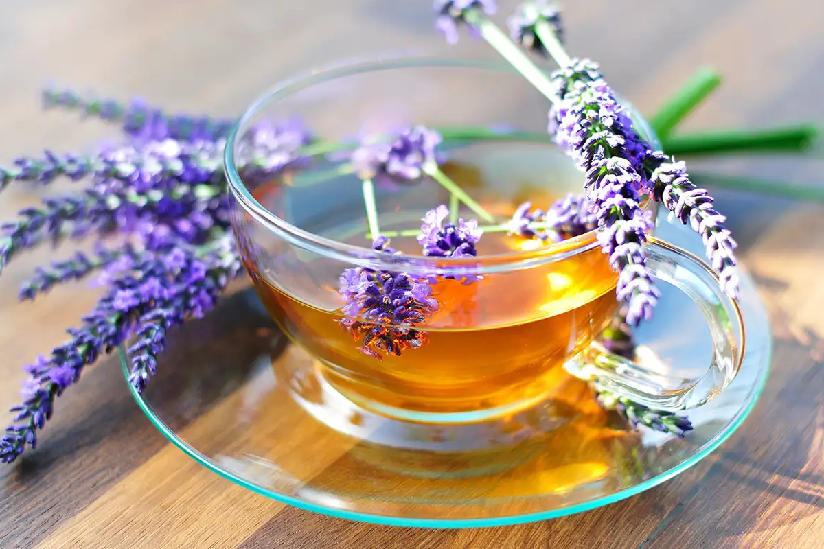 Що лікує чай з лаванди і кому його потрібно пити