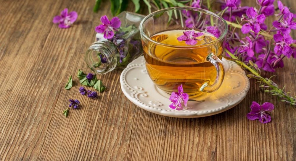 Що лікує чай з тулсі і кому його потрібно пити: повний огляд