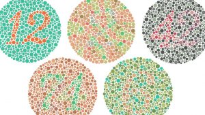 Тест на кольори: повний гід по перевірці сприйняття зору