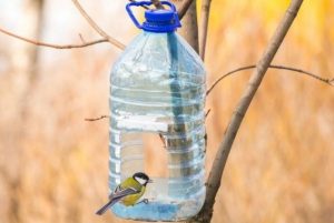 Годівничка своїми руками для дітей