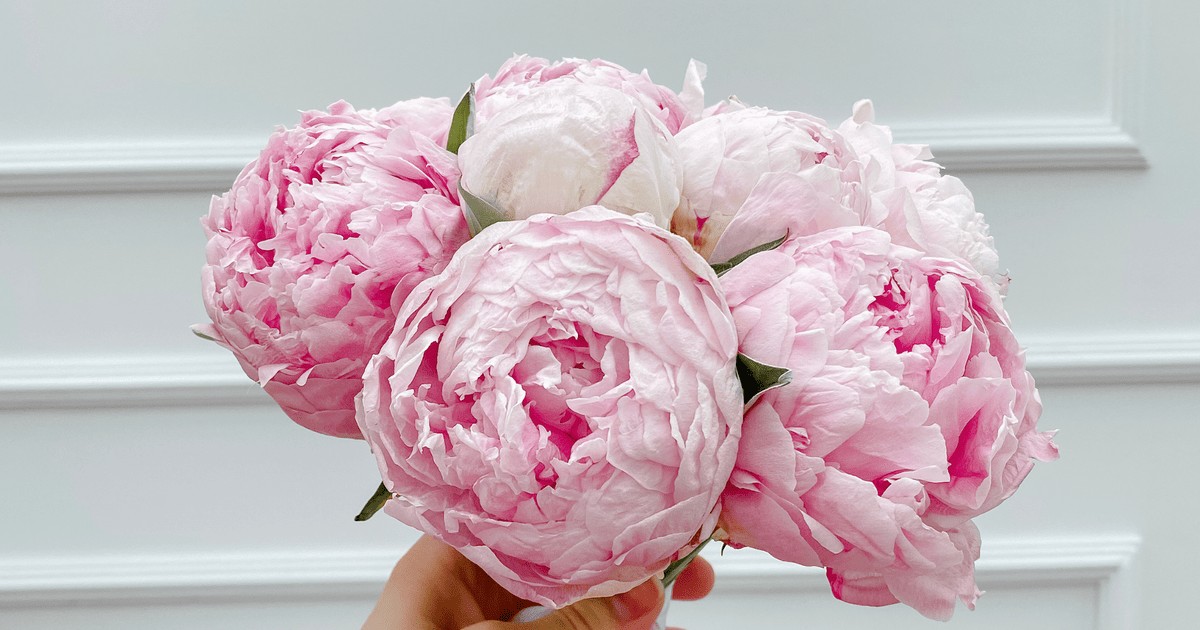 чому не можна дарувати парну кількість квітів