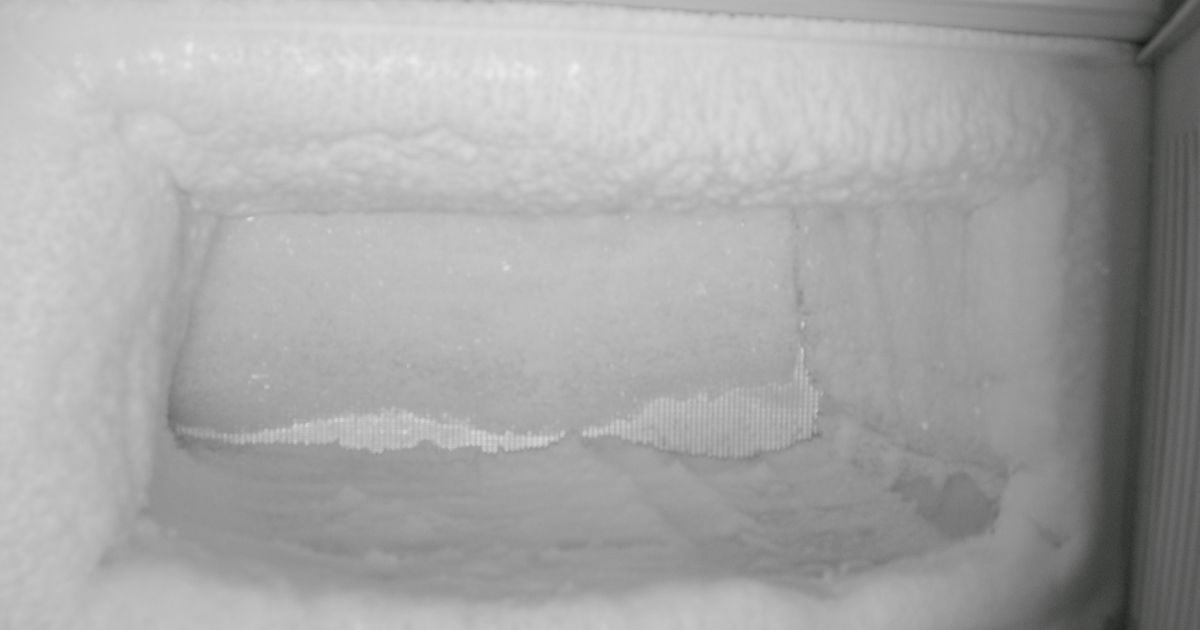 чому в морозильній камері намерзає лід