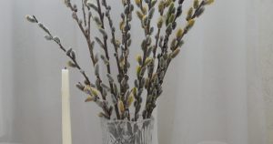 Чи можна мити голову у Вербну неділю: церковні правила, народні традиції та сучасні поради