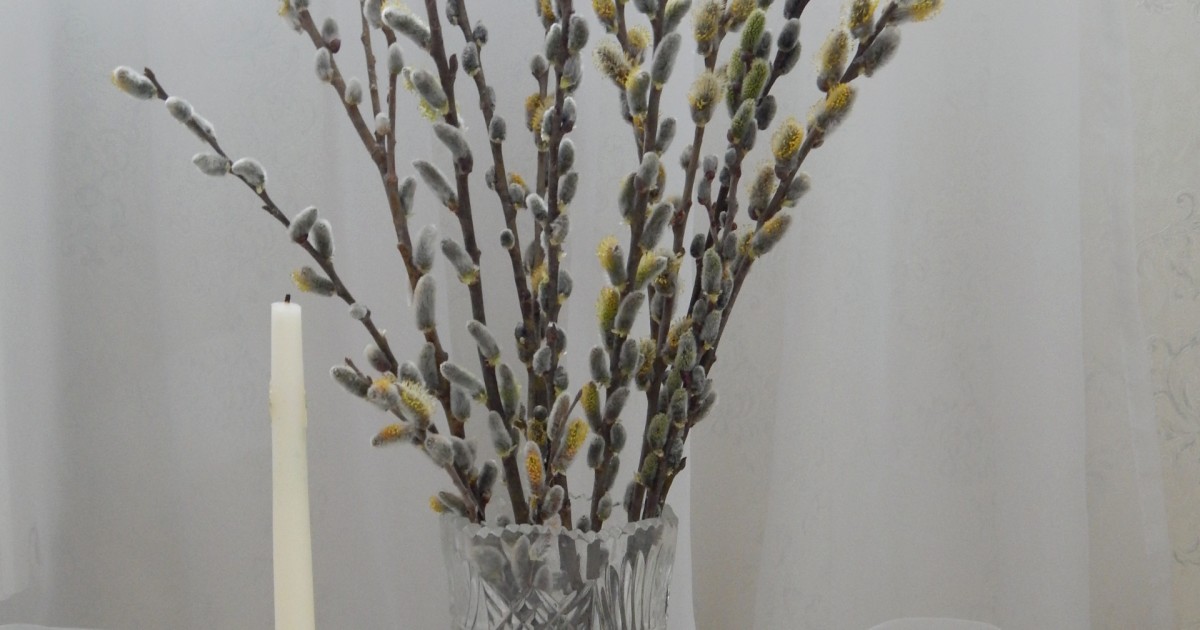 Чи можна мити голову у Вербну неділю: церковні правила, народні традиції та сучасні поради