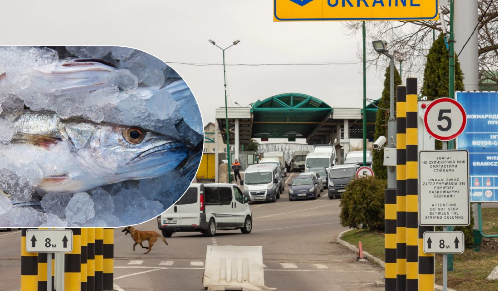 чи можна перевозити рибу через кордон