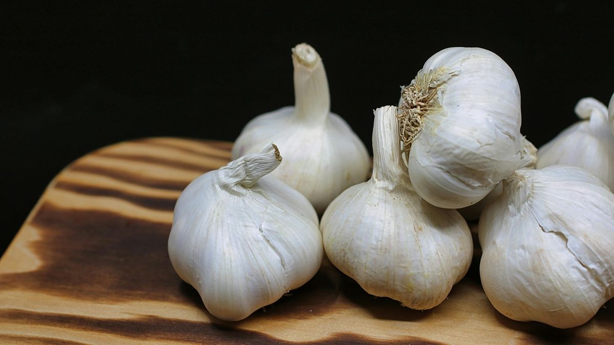 Народні методи підживлення часнику