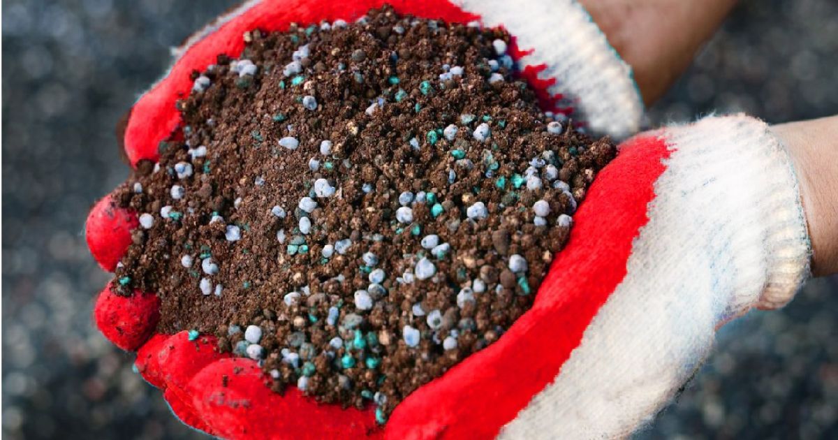 чим удобрити землю на зиму