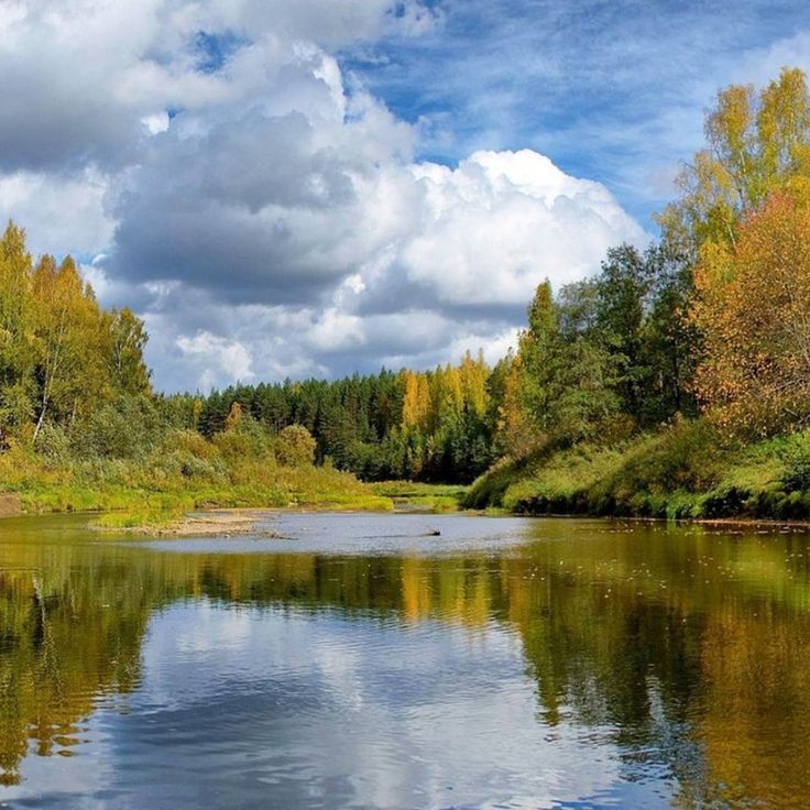 Де знаходиться Амазонка на карті світу і в яких країнах