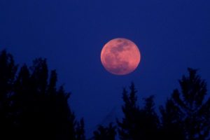 Рожевий місяць: чому квітнева повня не рожева